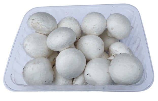 Žampiony bílé balené 500 g