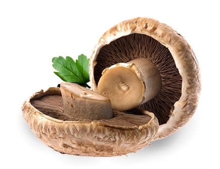 Portobello 220 g