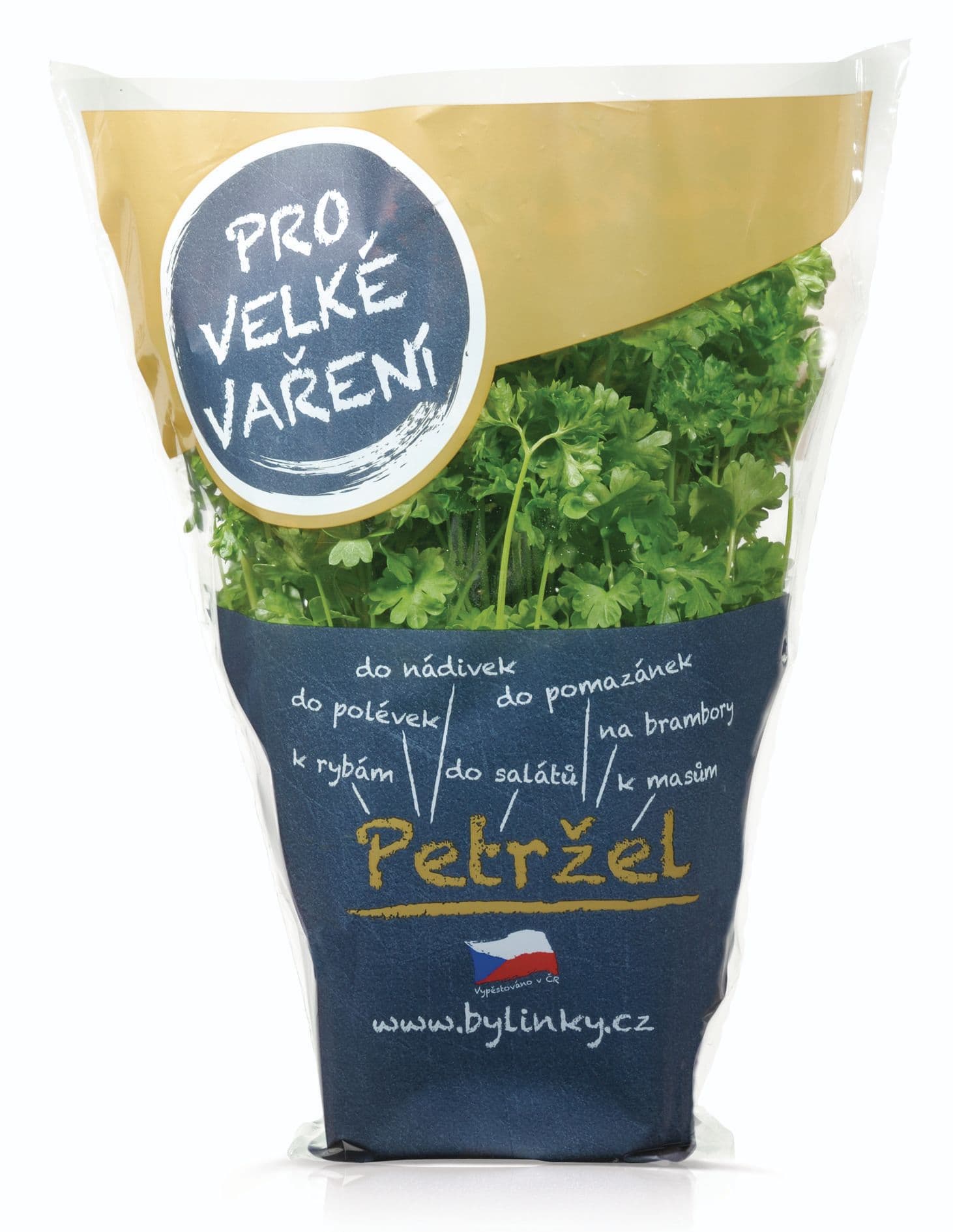 Petržel Velké vaření v květináči 1 ks