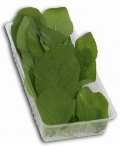 Šalvěj Sáček 20 g