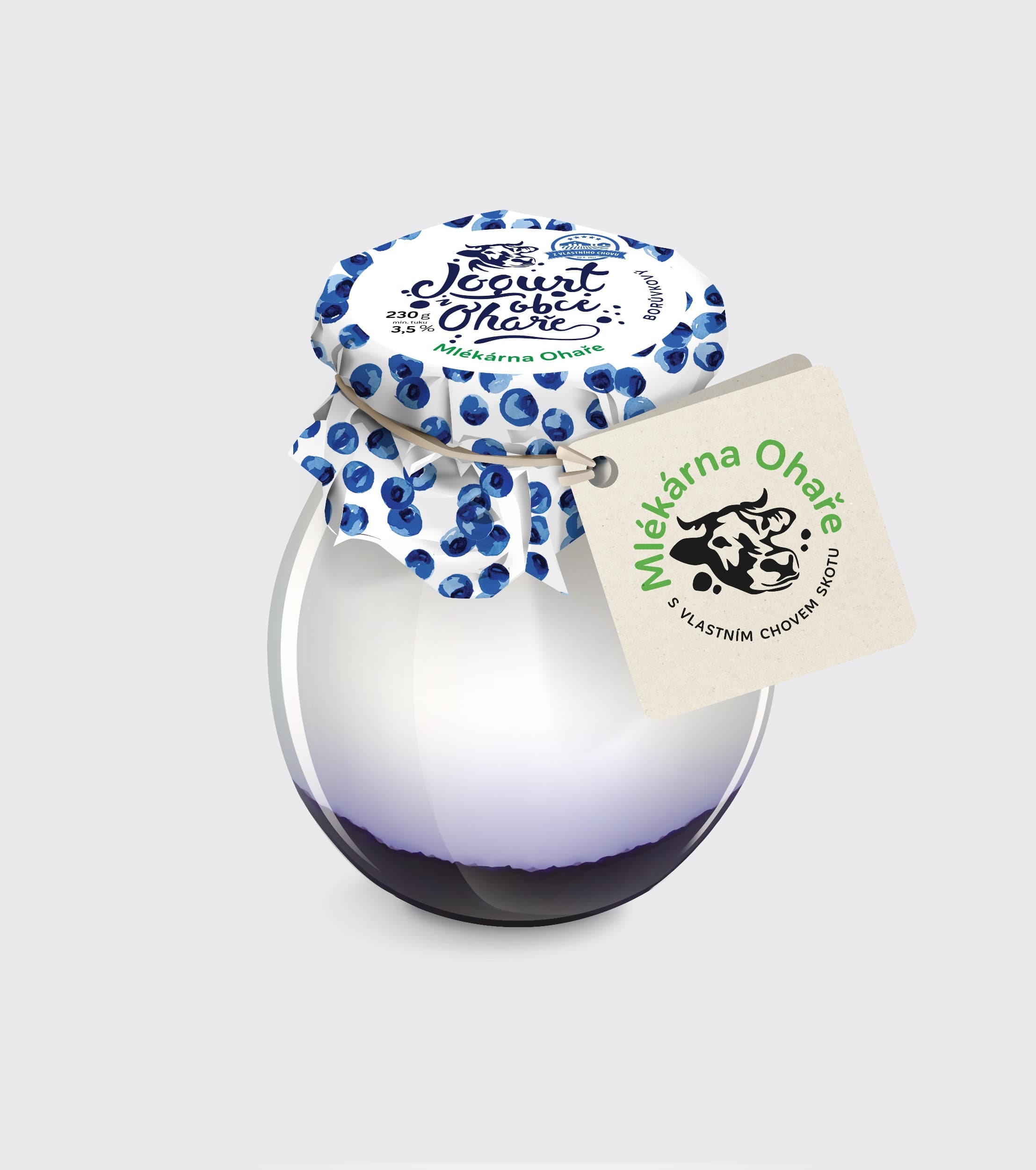 Mlékárna Ohaře, Jogurt  z obce Ohaře BORŮVKOVÝ, 230g