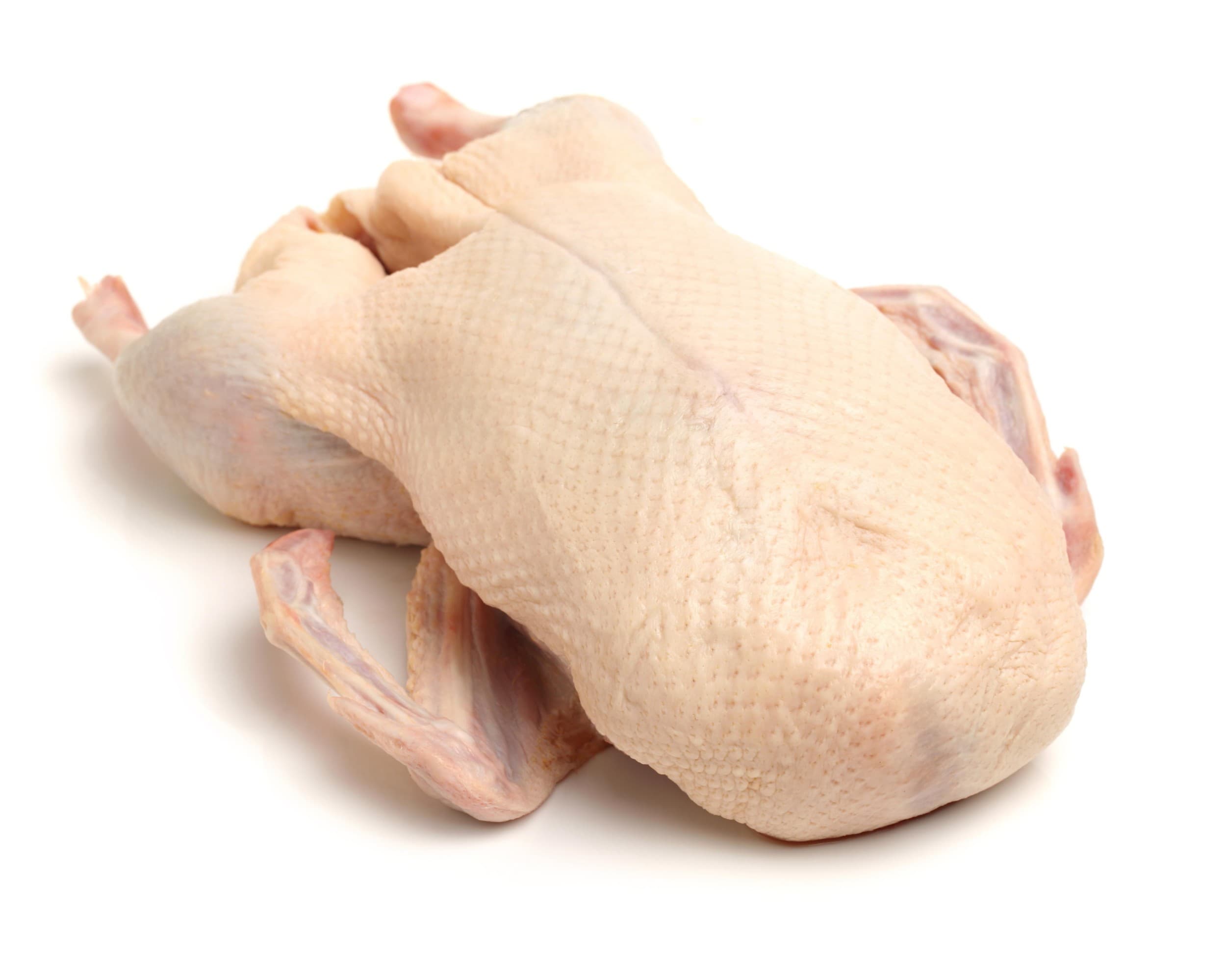 Husa s droby mražená 3,6 kg