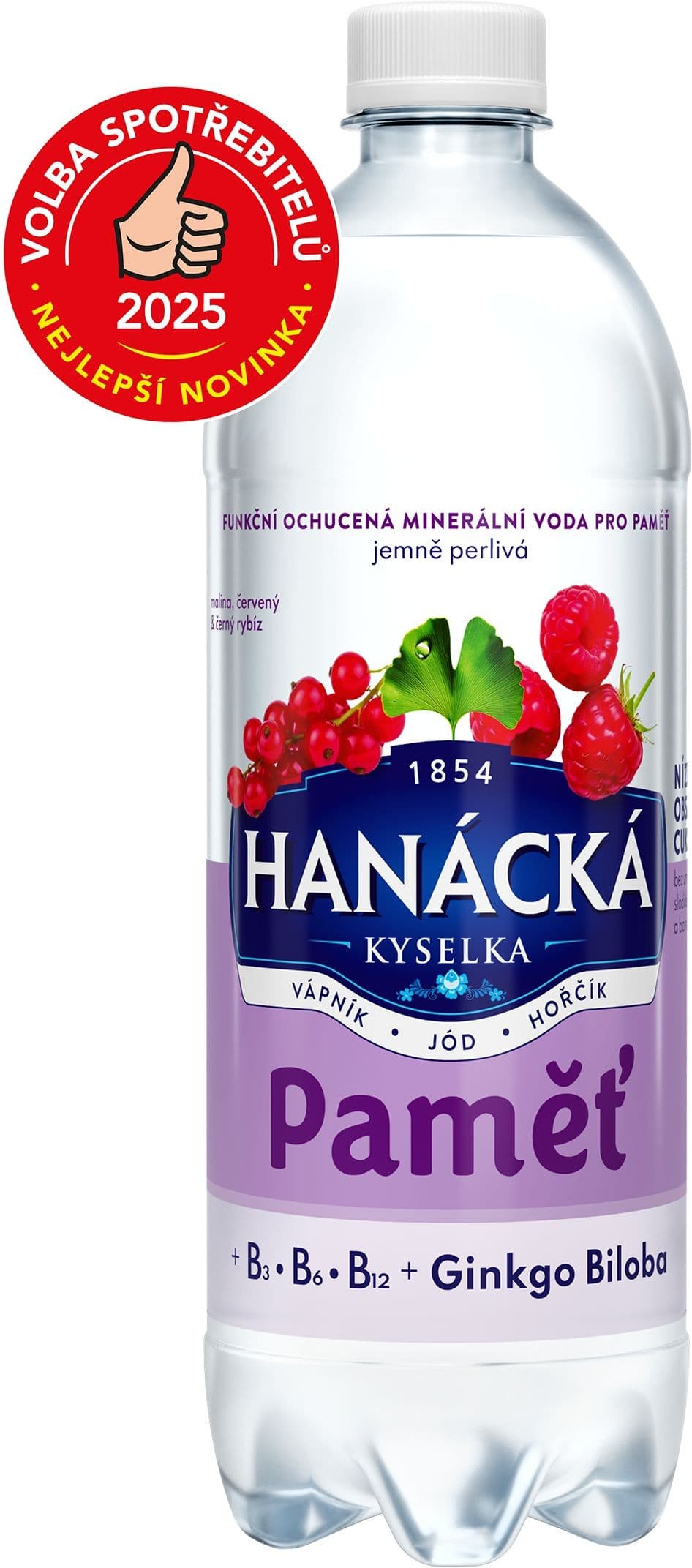 Hanácká kyselka pamět 0,7l PET