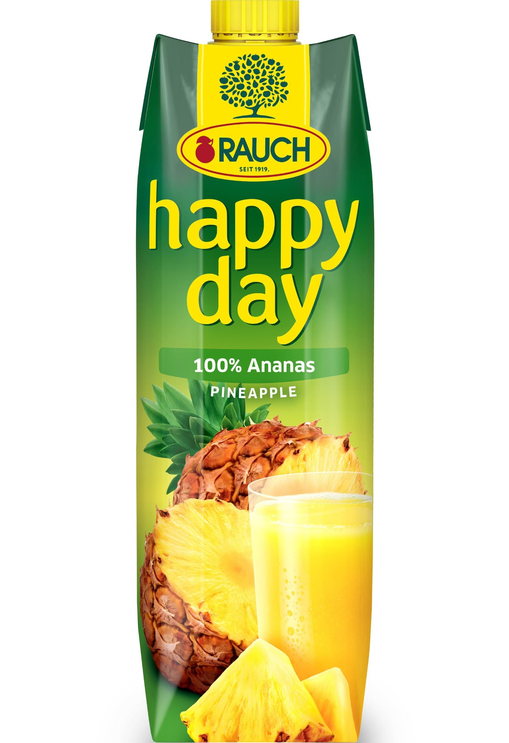 Rauch Happy Day Ananas 100% džus 1 l