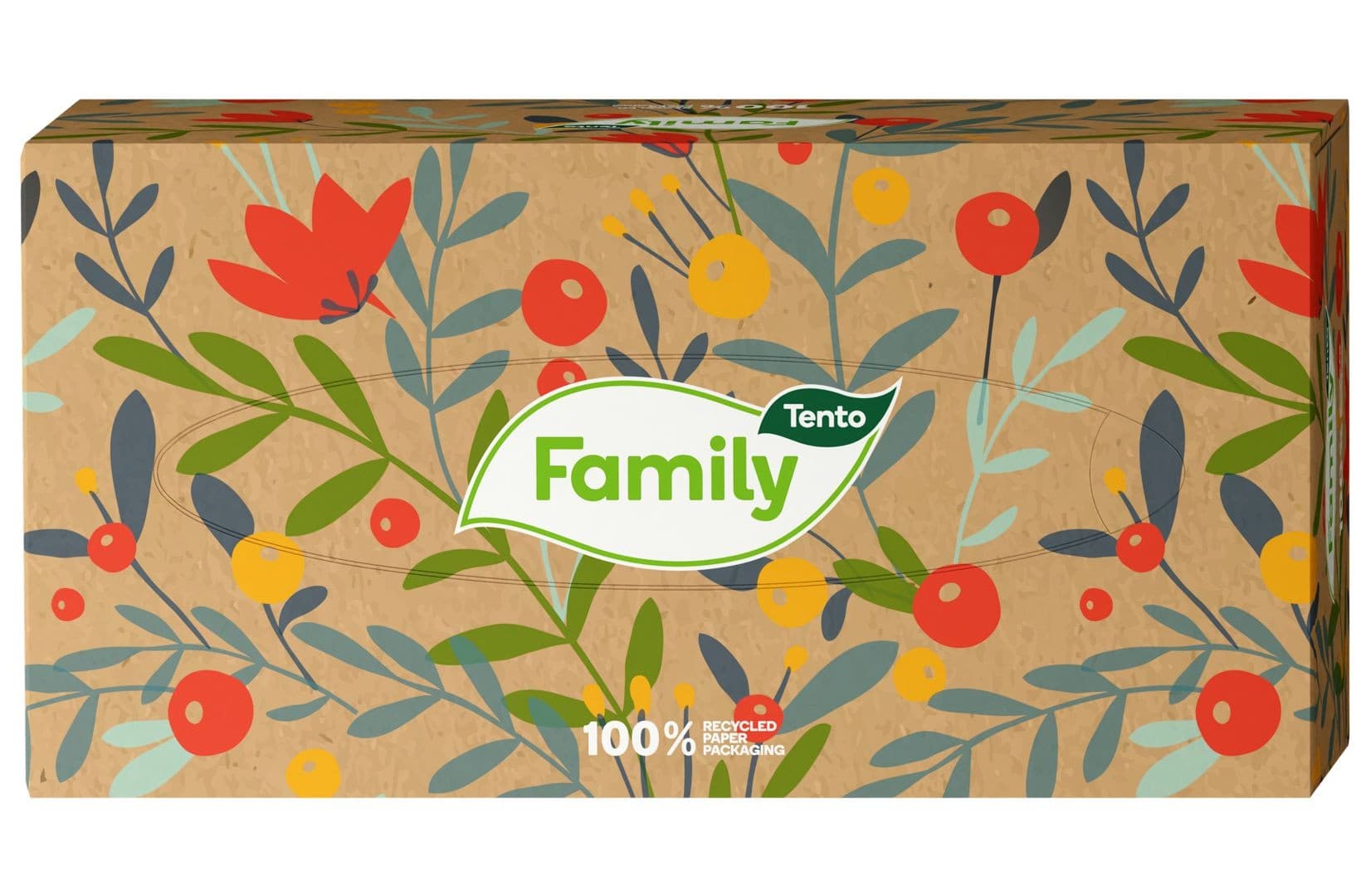 Tento kapesníky Family 2vrstvé 200 ks