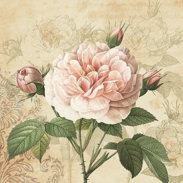 Ubrousky MAKI 33 x 33 cm růže