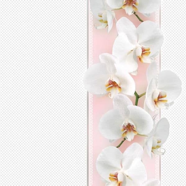 Ubrousky Daisy Tender Orchid on Pink, 33 x 33 cm, 3vr., 20 ks