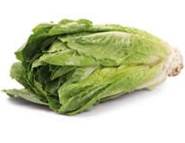 METRO Chef Salát římský 250+ I. čerstvý 1 ks