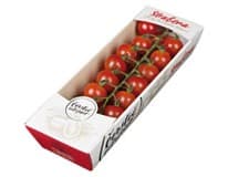 Rajčata Cherry podlouhlá Strabena CZ čerstvá 250 g vanička