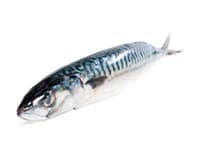 Makrela obecná nekuchaná chlaz. cca 300 - 600 g