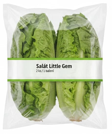 Salát Little Gem