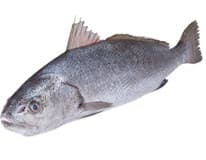 Smuha královská ASC chlaz. váž. cca 1,8 - 3 kg