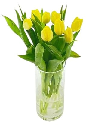 Tulipány žluté