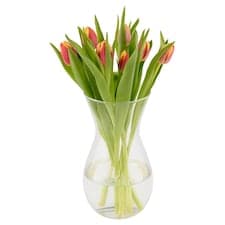 Kytice tulipány 7 stonků