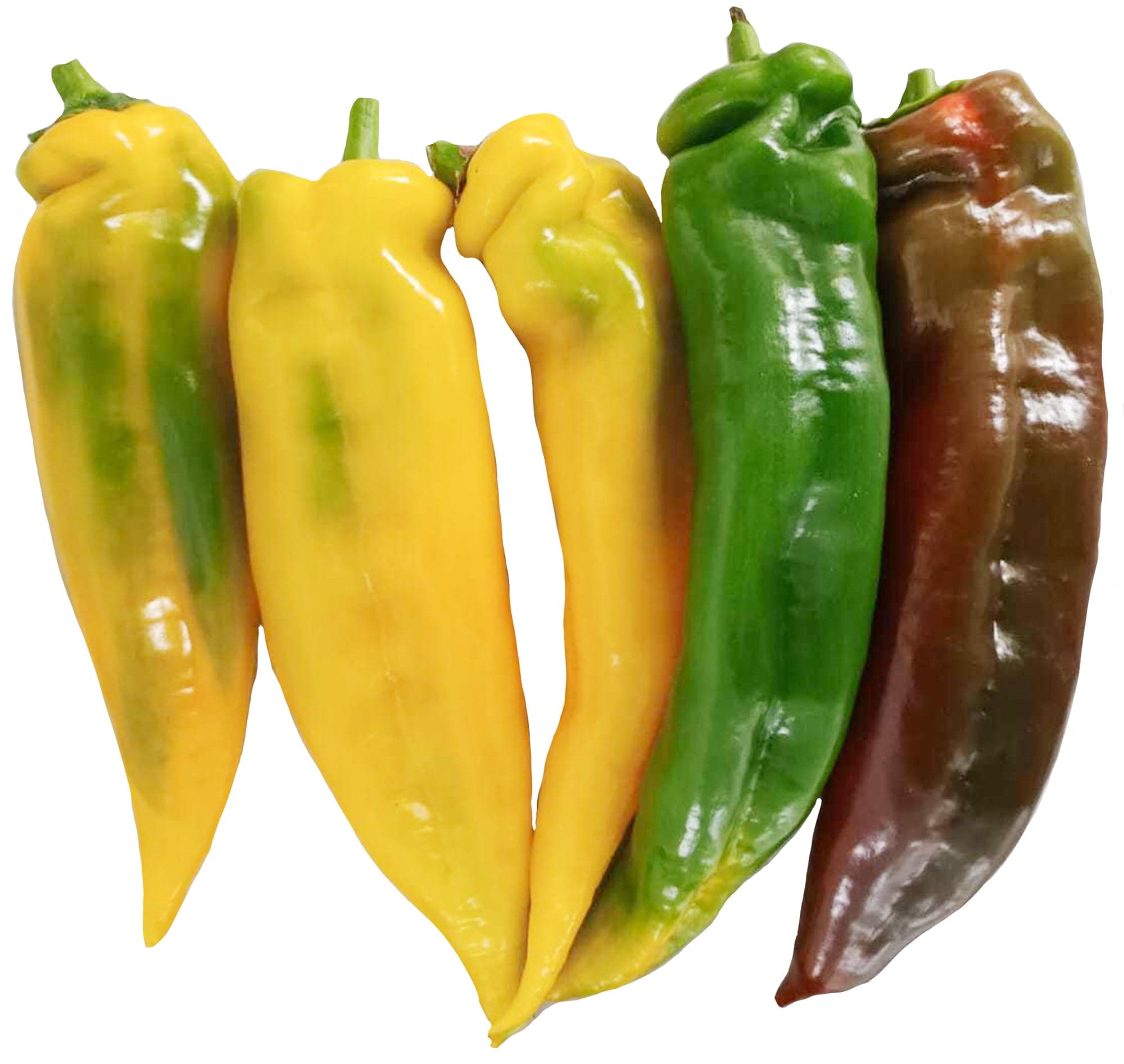 Paprika špičatá divoký mix barev (odr. Palermo), balení