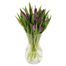 Kytice tulipány 23 stonků