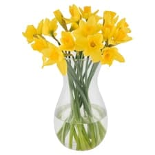 Kytice narcisy 15 stonků