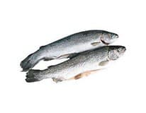 Pstruh potoční kuchaný chlaz. váž. cca 200 - 450 g