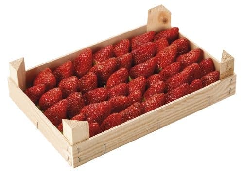 Jahody plato 1kg