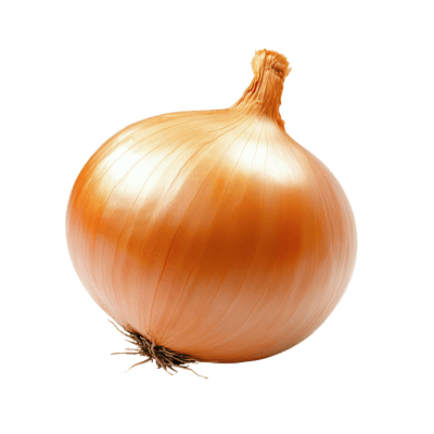 Cibule kuchyňská žlutá, 1 ks