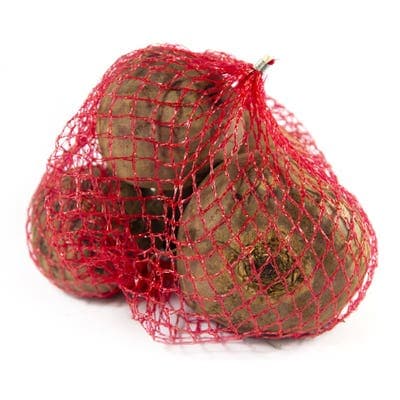 Řepa červená, síť
