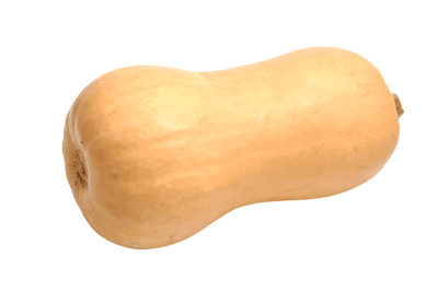 Dýně máslová, 1 ks
