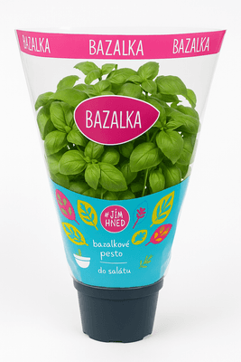 Titbit Bazalka květináč "13 cm”