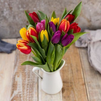 Tulipány mix barev 40 cm, 10 ks
