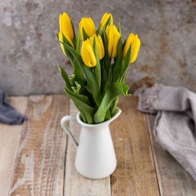 Tulipány žluté 40 cm, 10 ks