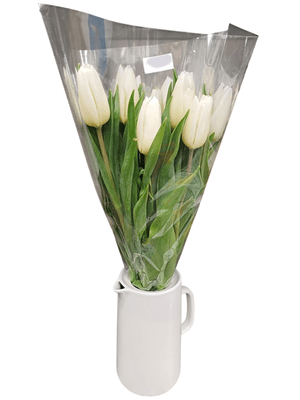 Tulipány bílé 40 cm, 10ks