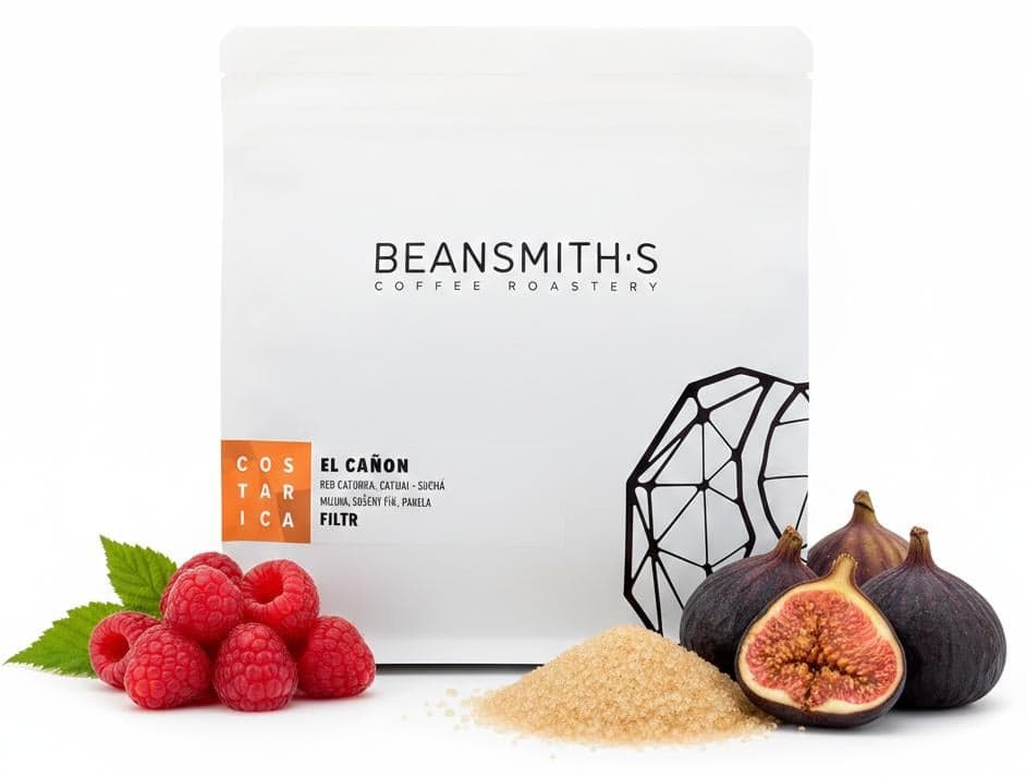 Beansmith's Kostarika El Caňon filtr zrnková káva