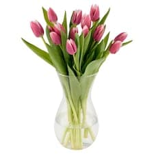 Kytice tulipány 15 stonků