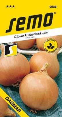 Semo Cibule kuchyňská - DAGMAR