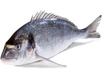 METRO Chef Pražma královská chorvatská ASC chlaz. váž. cca 250 - 400 g