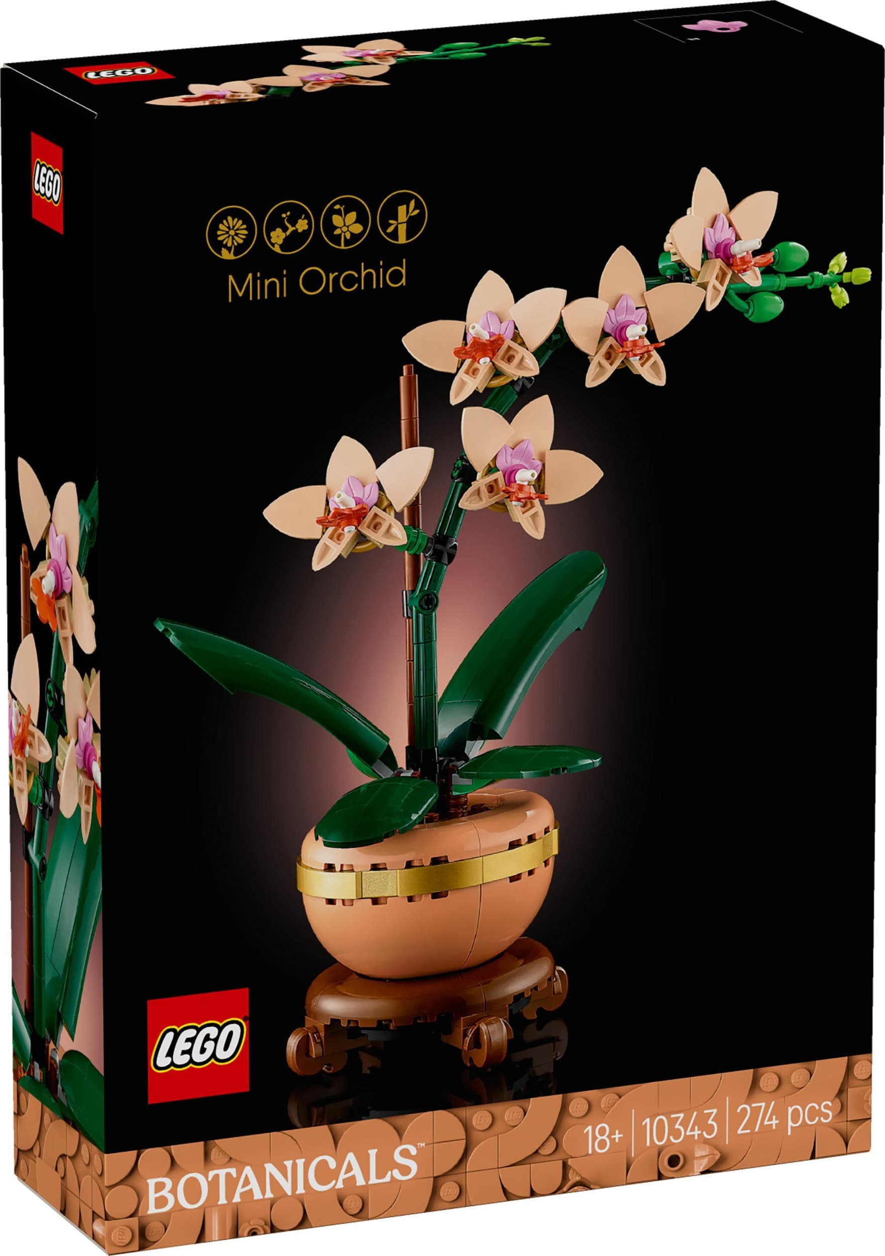 LEGO® Botanicals 10343 Miniaturní orchidej