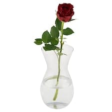 Růže 1 stonek 50 cm