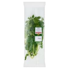 Petržel hladkolistá 100g