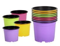 NOHEL-GARDEN Květináč sadbovací Color D 11cm M černá 8 ks