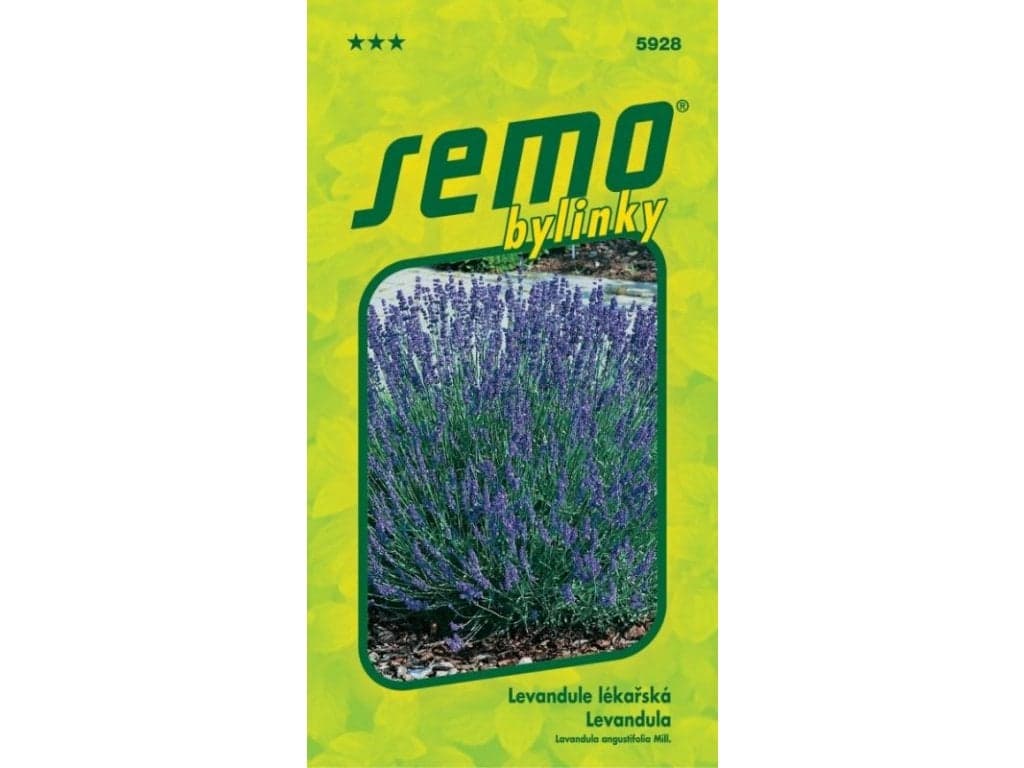 SEMO Levandule lékařská