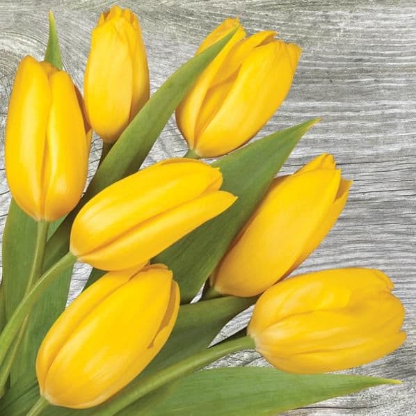 Kozák Ubrousky Daisy Žluté tulipány na dřevě, 33 x 33 cm, 3vr., 20ks