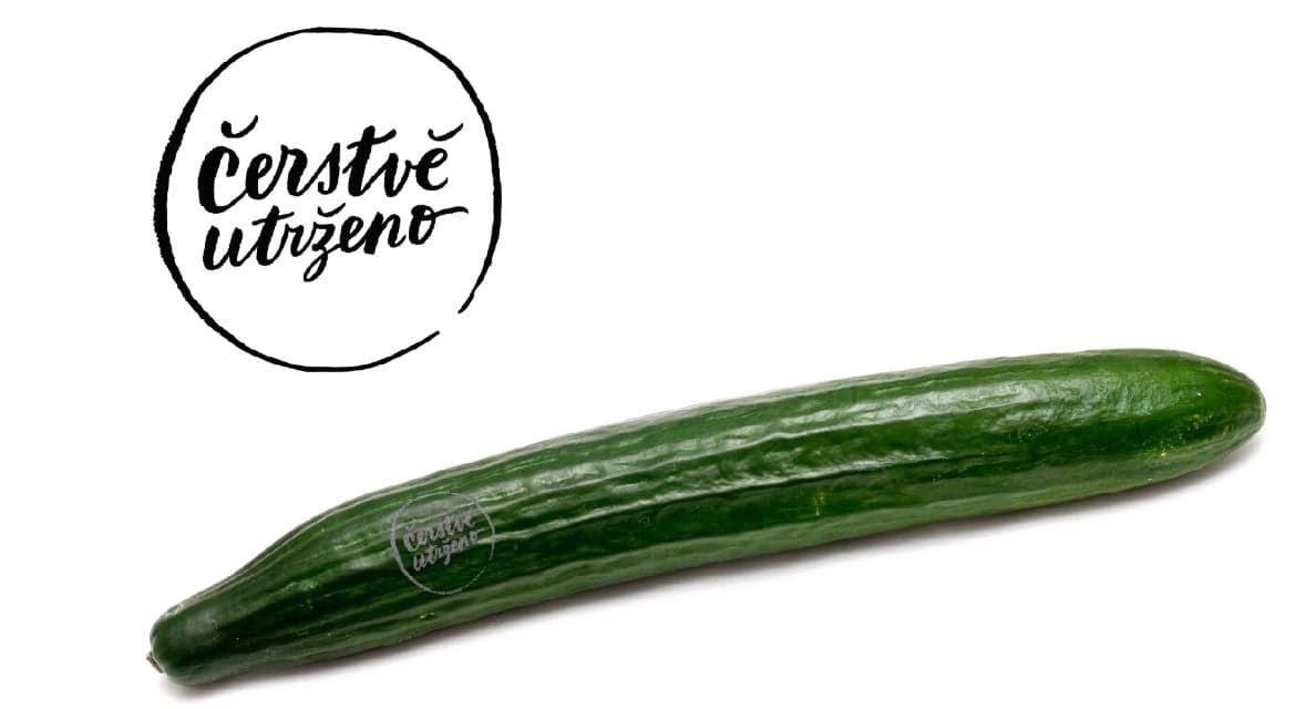 Čerstvě utrženo – Okurka hadovka, bez folie