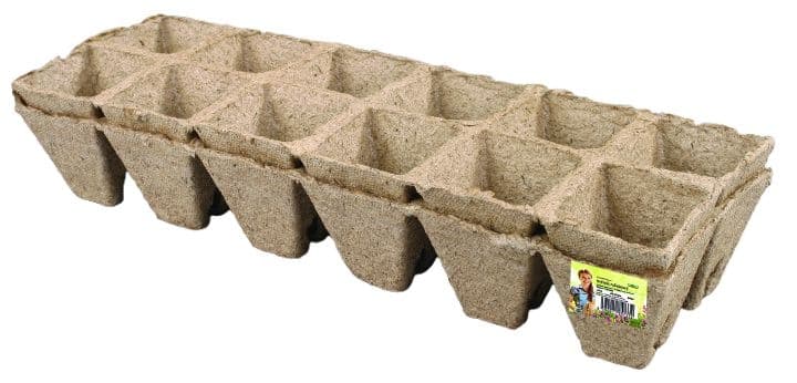 Květník rašelinový se zářezem 6x6cm 24ks