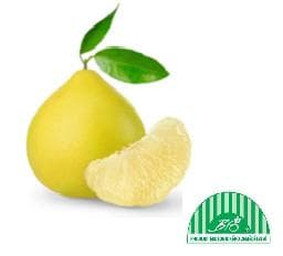 BIO Pomelo cca 1,2kg