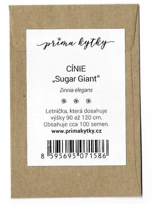 Prima kytky Cínie „Sugar Giant“