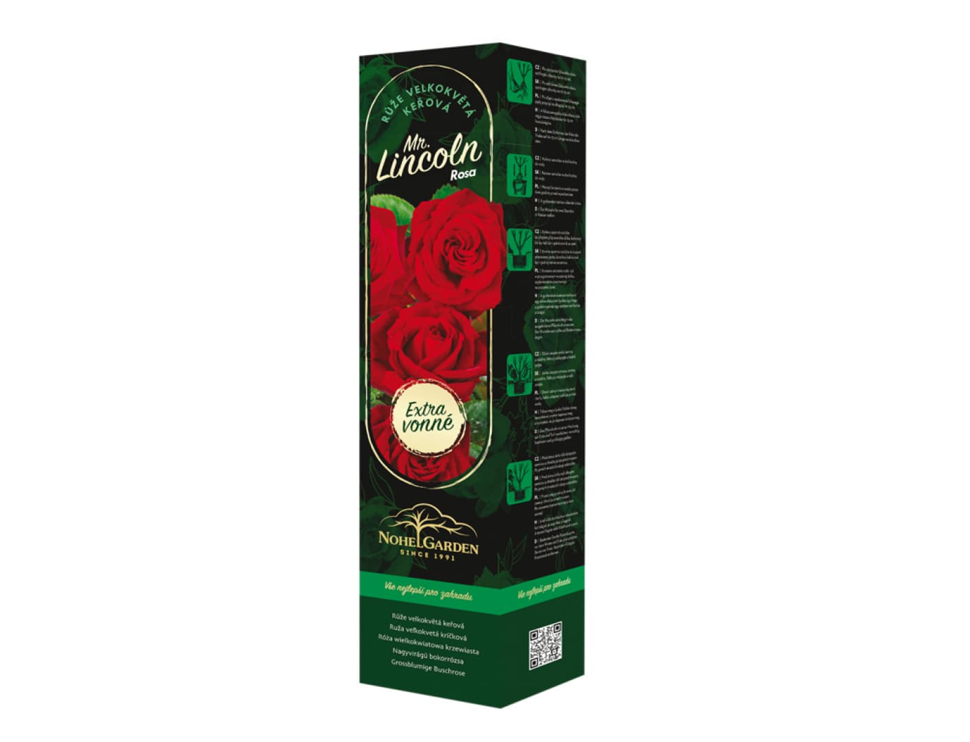 Růže velkokvětá keřová Fragrant Mister Lincoln, sazenice