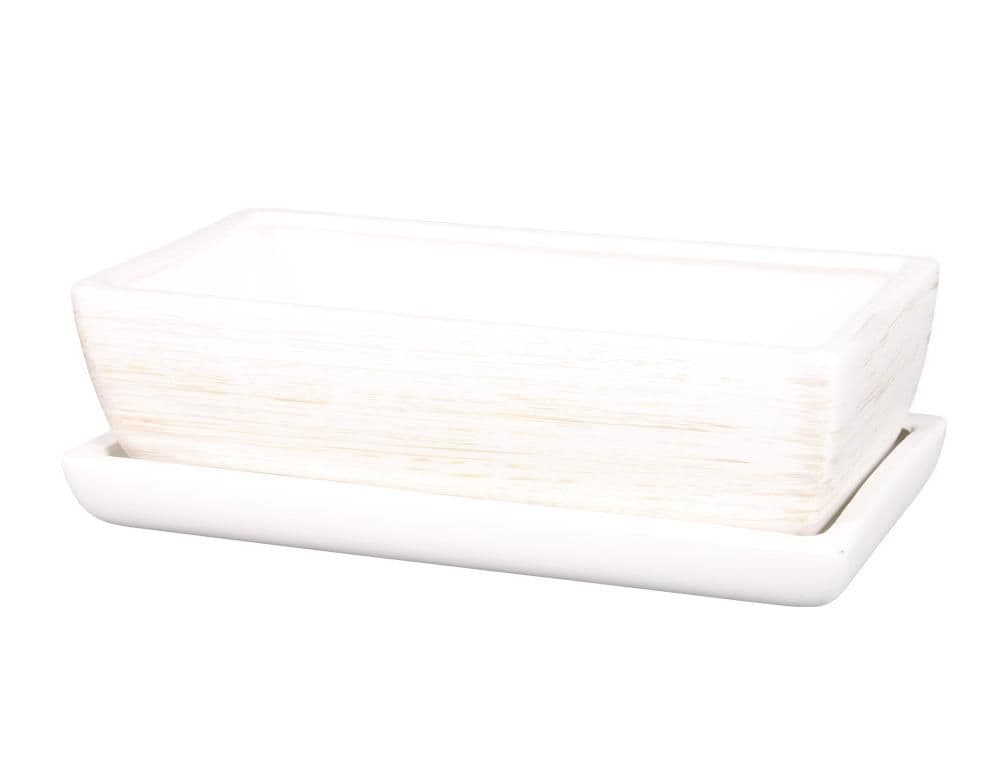 Truhlík KAKTUS WHITE + podmiska keramická matná 28cm