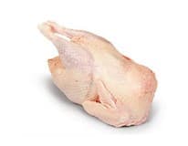 Slepice chlaz. váž. cca 1,1 kg