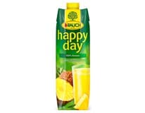 HD 100% 1L ANANAS 6x