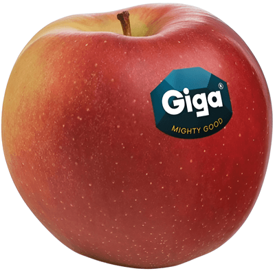 Jablko Giga