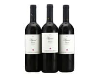 Barolo Pajana 2007 750 ml